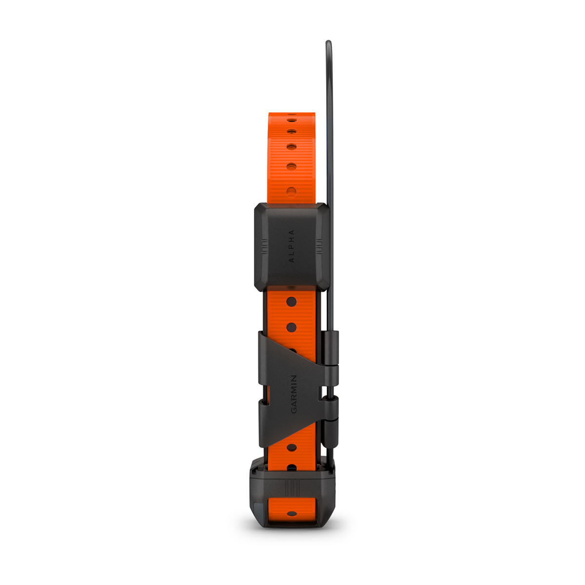 Alpha® TT 25 Dog Collar Dog Tracking and Training Collar - Image 3