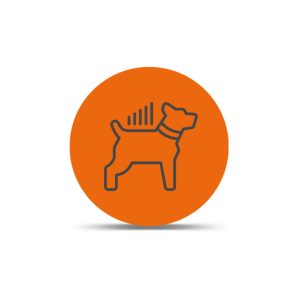 LTE Dog Tracking Plans Monthly