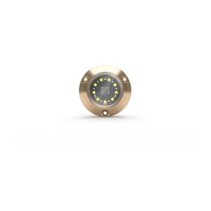 Lumishore® SMX24 Underwater Surface Mount Blue/White Dual Light