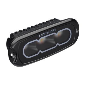 Lumishore® LUX Flood Light CRBGW Flood Light in 4" Black Flush Fit